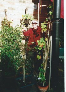 Cait  c2007  Cambridge